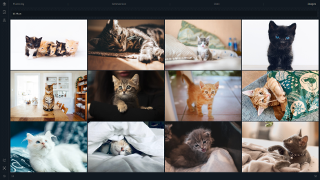 GIF of Jaq n Jil Large Stock Library Powered by Unsplash